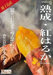 鹿児島県産熟成・紅はるか　冷やし焼きいも(冷凍焼きいも) 1kg