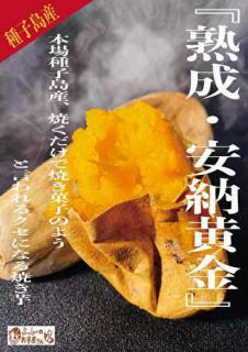 種子島産 熟成・安納黄金　冷やし焼き芋(冷凍焼き芋)1kg